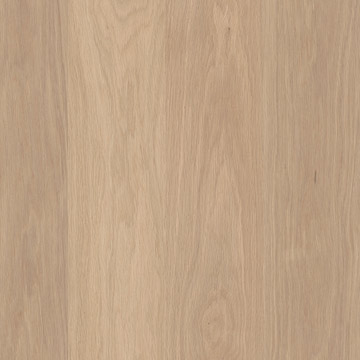 叙尔特橡木