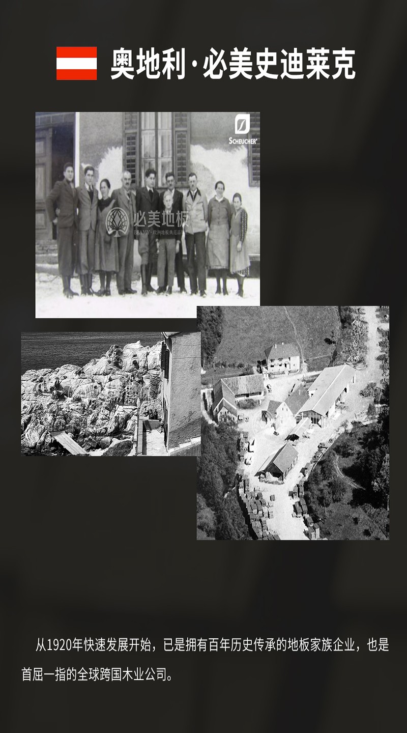 史迪莱克介绍_01.jpg