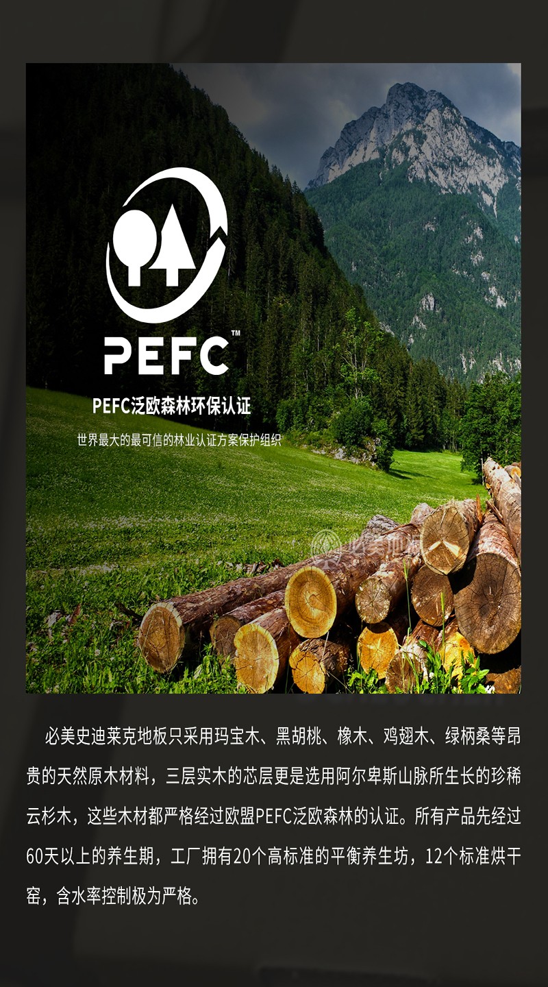 史迪莱克介绍_04.jpg