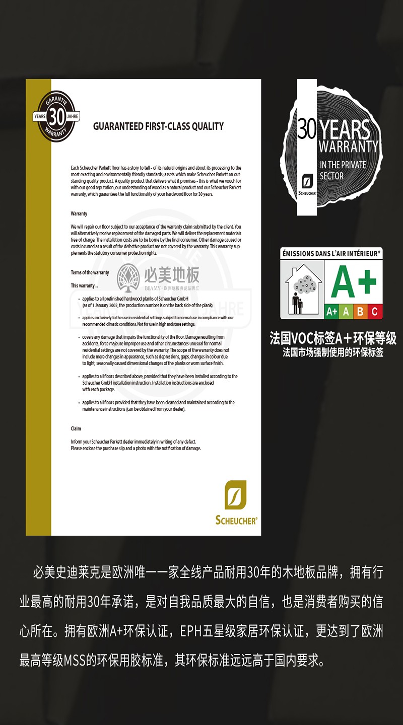 史迪莱克介绍_05.jpg